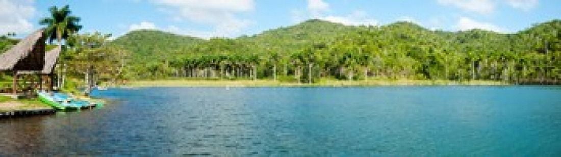 Trees on a hill Las Terrazas Pinar Del Rio Province Cuba Canvas Art - Panoramic Images (20 x 6)