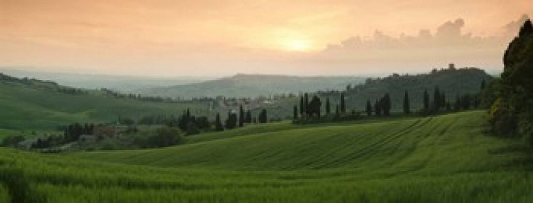 Trees on a hill Monticchiello Di Pienza Val dOrcia Siena Province Tuscany Italy Canvas Art - Panoramic Images (15 x 6)