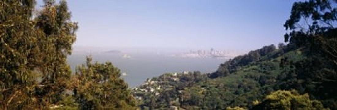 Trees on a hill Sausalito San Francisco Bay Marin County California USA Canvas Art - Panoramic Images (18 x 6)