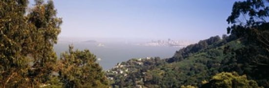 Trees on a hill Sausalito San Francisco Bay Marin County California USA Canvas Art - Panoramic Images (36 x 12)