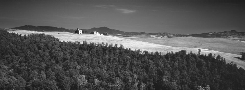 Trees on a hill Tuscany Italy Canvas Art - Panoramic Images (27 x 9)