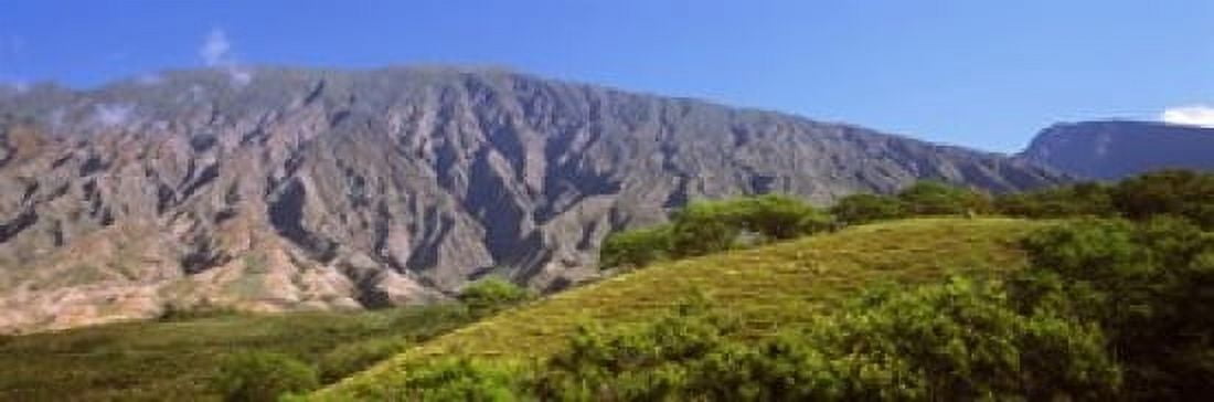 Trees on a hill near Haleakala Crater Maui Hawaii USA Canvas Art - Panoramic Images (18 x 6)