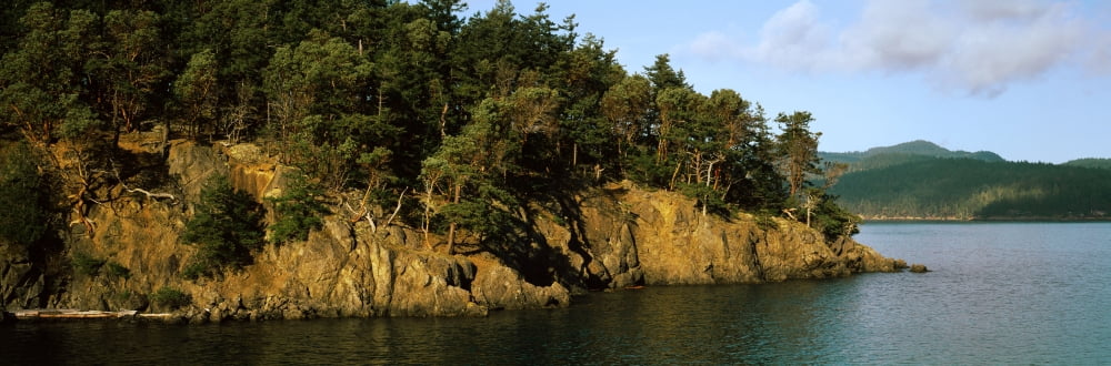 Trees on a island Lopez Island San Juan Islands San Juan County Washington State USA Canvas Art - Panoramic Images (27 x 9)