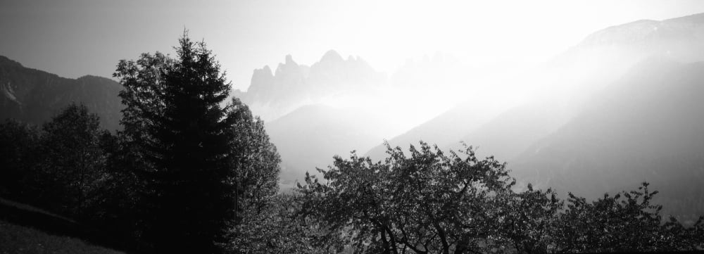 Trees on a landscape Dolomites Alto Adige Trentino-Alto Adige Italy Canvas Art - Panoramic Images (27 x 9)