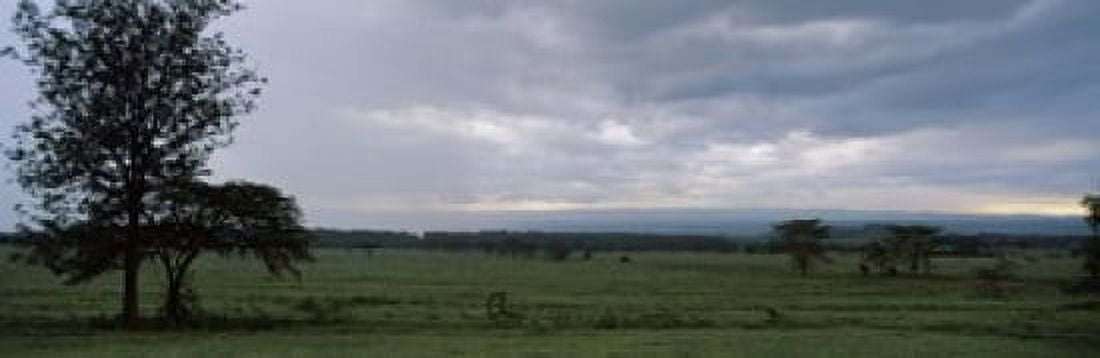 Trees on a landscape Lake Nakuru National Park Great Rift Valley Kenya Canvas Art - Panoramic Images (18 x 6)