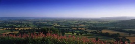 Trees on a landscape Uley Cotswold Hills Gloucestershire England Canvas Art - Panoramic Images (36 x 12)