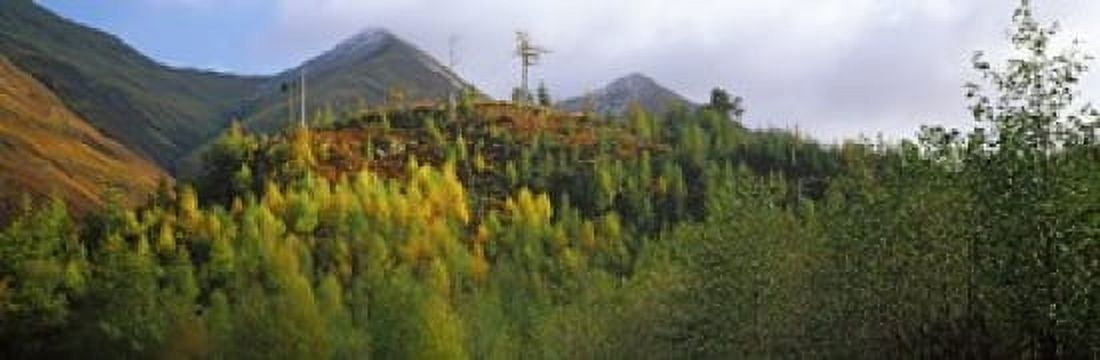Trees on a mountain Five Sisters of Kintail Glen Shiel Highland Region Scotland Canvas Art - Panoramic Images (36 x 12)
