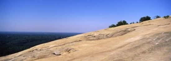 Trees on a mountain Stone Mountain Atlanta Fulton County Georgia USA Canvas Art - Panoramic Images (36 x 13)