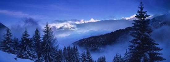 Trees on a polar landscape Simplon Pass Switzerland Canvas Art - Panoramic Images (36 x 13)