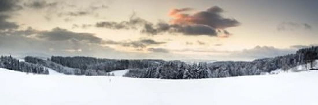 Trees on a snow covered hill Black Forest Baden-Wurttemberg Germany Canvas Art - Panoramic Images (18 x 6)
