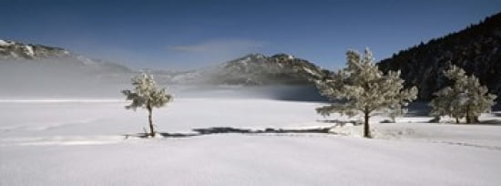 Trees on a snow covered landscape French Riviera France Canvas Art - Panoramic Images (30 x 12)