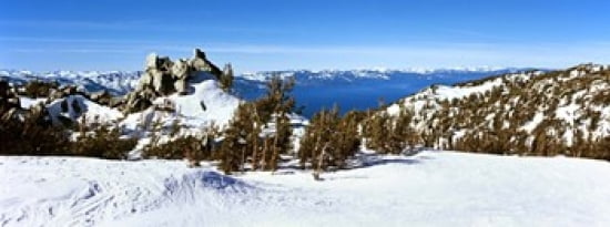 Trees on a snow covered landscape Heavenly Mountain Resort Lake Tahoe California-Nevada Border USA Canvas Art - Panoramic Images (30 x 12)