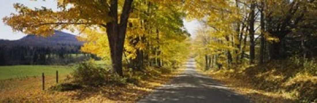 Trees on both sides of a road Danby Vermont USA Canvas Art - Panoramic Images (18 x 6)