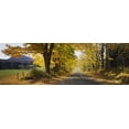 thumbnail image 1 of Trees on both sides of a road, Danby, Vermont, USA Poster Print (18 x 6), 1 of 1