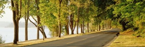 Trees on both sides of a road Lake Washington Boulevard Seattle Washington State USA Canvas Art - Panoramic Images (36 x 12)