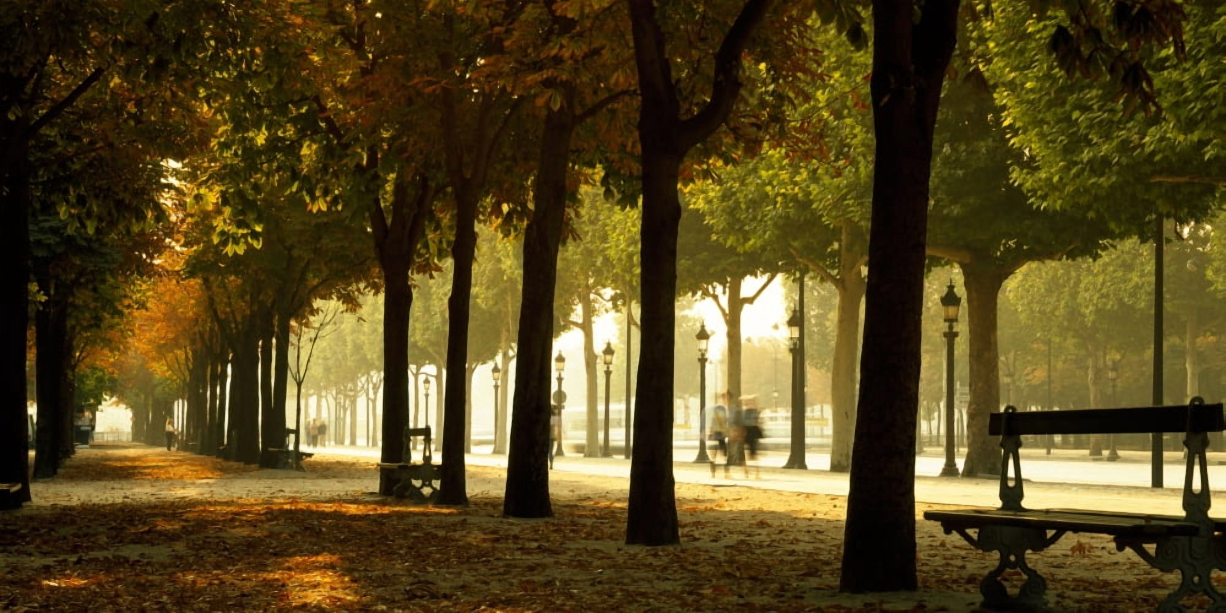 Trees on both sides of a walkway Champs Elysees Paris France Canvas Art - Panoramic Images (12 x 36)