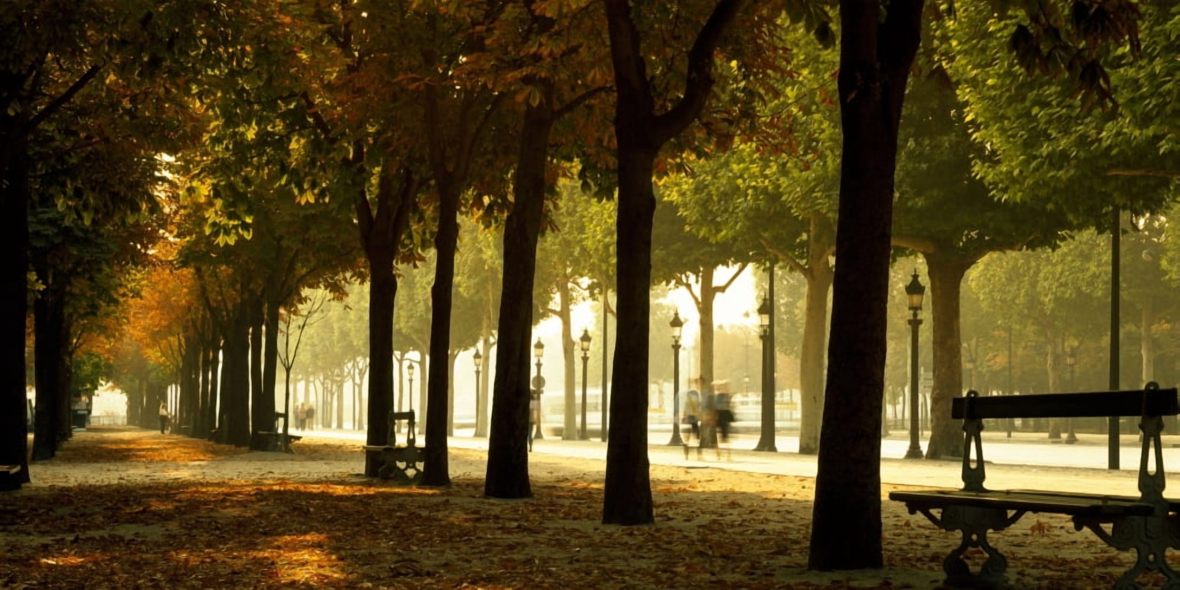 Trees on both sides of a walkway Champs Elysees Paris France Canvas Art - Panoramic Images (9 x 27)