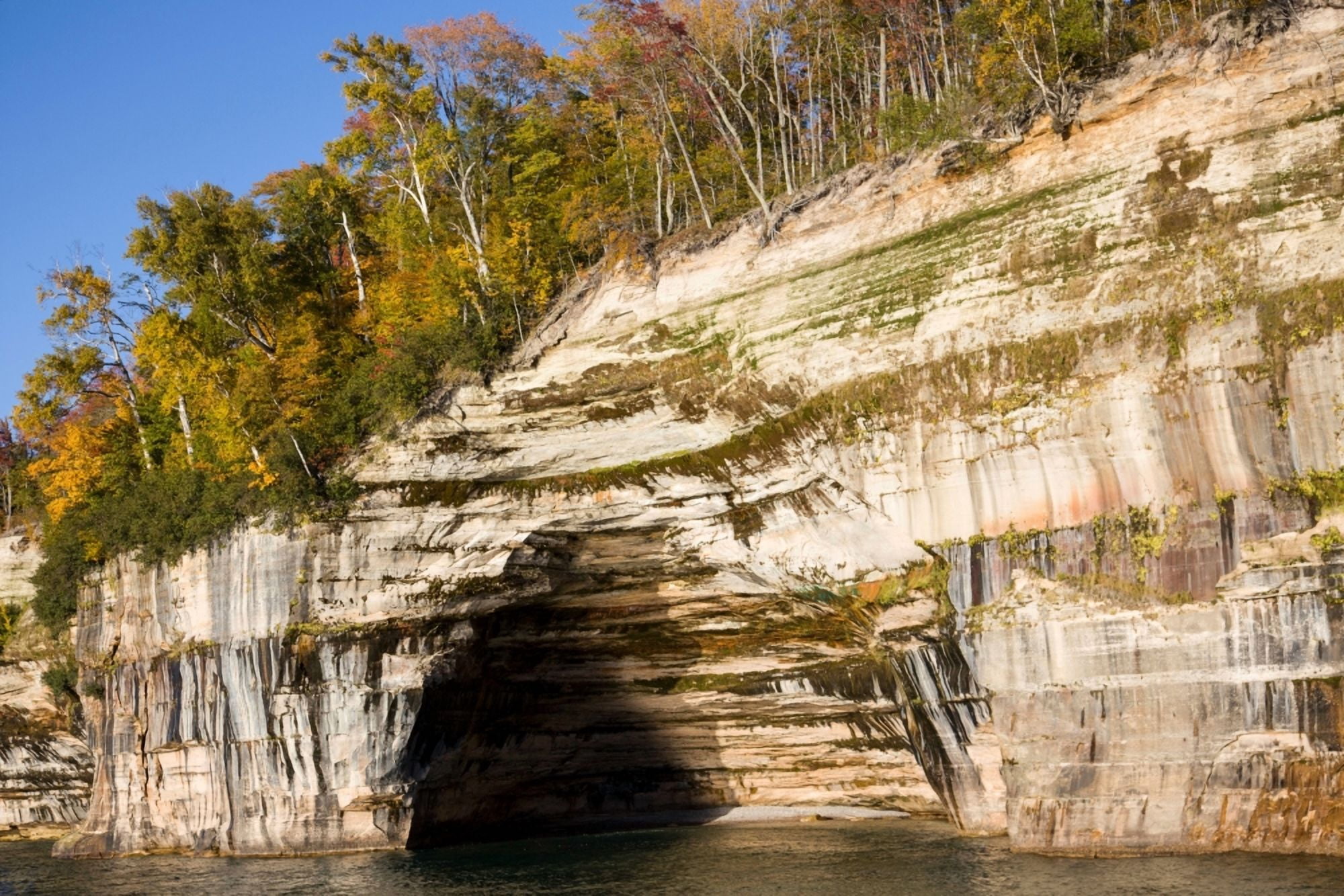Trees on cliff Lake Superior Pictured Rocks National Lakeshore Alger County Michigan USA Canvas Art - Panoramic Images (18 x 24)