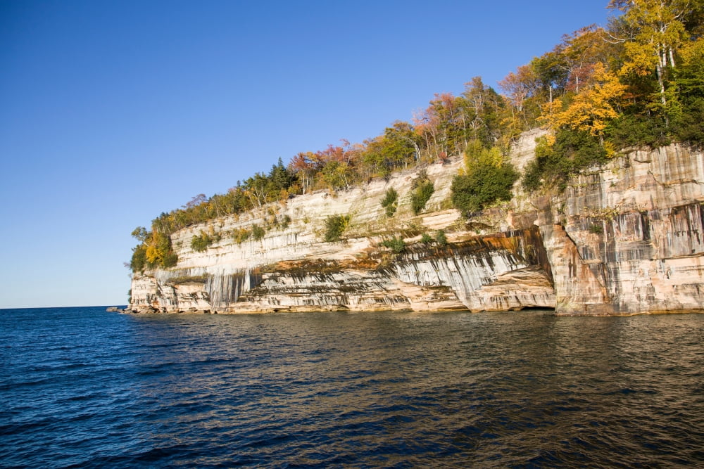 Trees on cliff Lake Superior Pictured Rocks National Lakeshore Alger County Michigan USA Canvas Art - Panoramic Images (18 x 24)