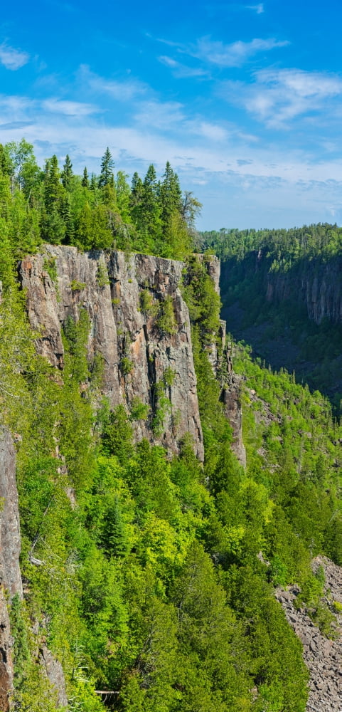 Trees on mountain Ouimet Canyon Ouimet Canyon Provincial Park Ontario Canada Canvas Art - Panoramic Images (12 x 24)