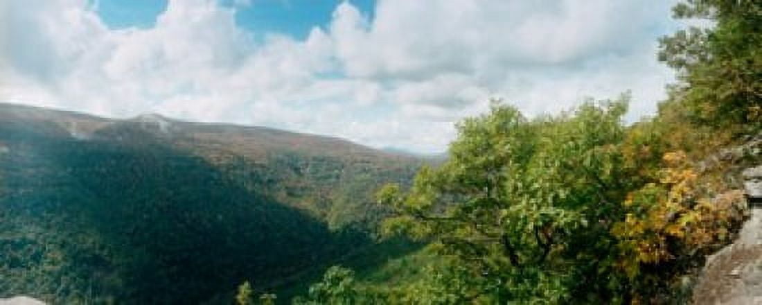 Trees on mountain view from Sunset Rock Kaaterskill Falls area Catskill Mountains New York State USA Canvas Art - Panoramic Images (15 x 6)