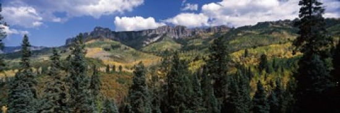 Trees on mountains Ridgway Colorado USA Canvas Art - Panoramic Images (18 x 6)
