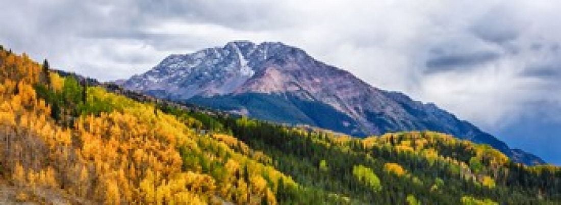 Trees on mountains San Juan National Forest Colorado USA Canvas Art - Panoramic Images (36 x 13)