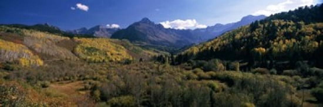 Trees on mountains State Highway 62 Ridgway Colorado USA Canvas Art - Panoramic Images (18 x 6)