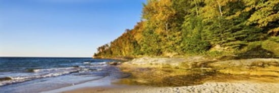 Trees on the beach Miners Beach Pictured Rocks National Lakeshore Upper Peninsula Michigan USA Canvas Art - Panoramic Images (36 x 12)
