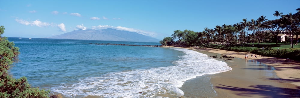 Trees on the beach Molokai Maui Hawaii USA Canvas Art - Panoramic Images (36 x 12)