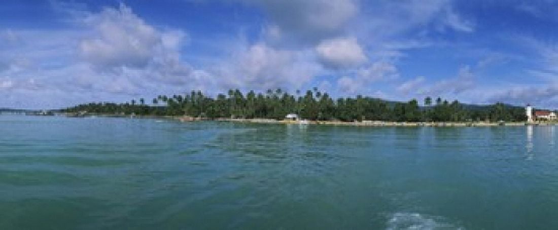 Trees on the beach Phuket Thailand Canvas Art - Panoramic Images (30 x 13)