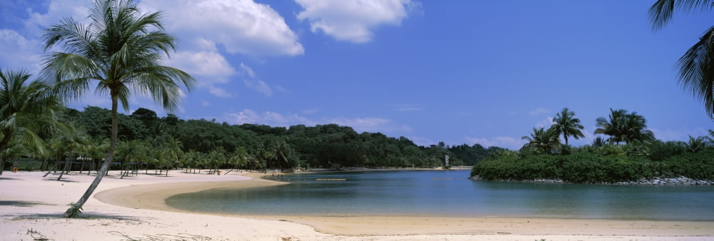 Trees on the coast Singapore Canvas Art - Panoramic Images (12 x 36)
