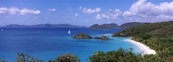 Trees on the coast Trunk Bay Virgin Islands National Park St John US Virgin Islands Canvas Art - Panoramic Images (36 x 13)
