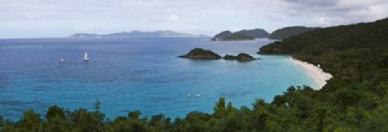 Trees on the coast Trunk Bay Virgin Islands National Park St John US Virgin Islands Canvas Art - Panoramic Images (36 x 13)
