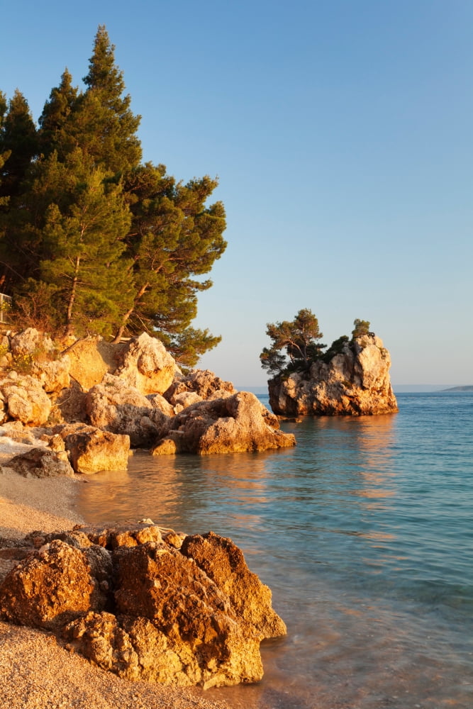Trees on the rocks Brela Makarska Riviera Dalmatia Croatia Canvas Art - Panoramic Images (36 x 12)