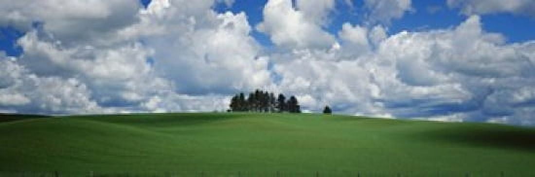 Trees on the top of a hill Palouse Whitman County Washington State USA Canvas Art - Panoramic Images (18 x 6)