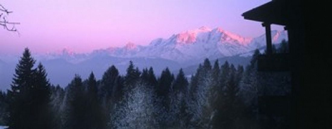 Trees with snow covered mountains at sunset in winter Combloux Mont Blanc Massif Haute-Savoie Rhone-Alpes France Canvas Art - Panoramic Images (15 x 6)
