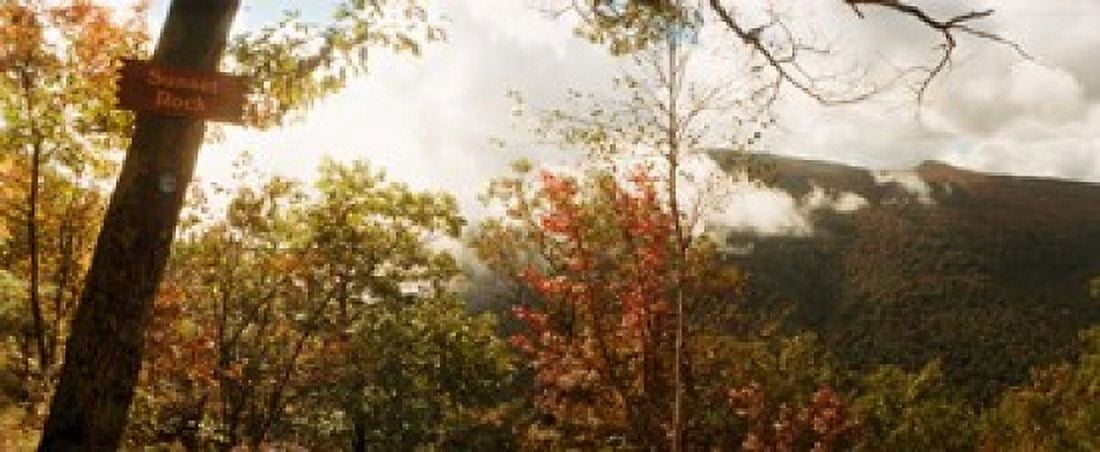 Trees with Sunset Rock sign Kaaterskill Falls area Catskill Mountains New York State USA Canvas Art - Panoramic Images (15 x 6)