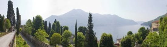 Trees with a lake in background Lake Como Villa Passalacqua Moltrasio Como Lombardy Italy Canvas Art - Panoramic Images (40 x 12)