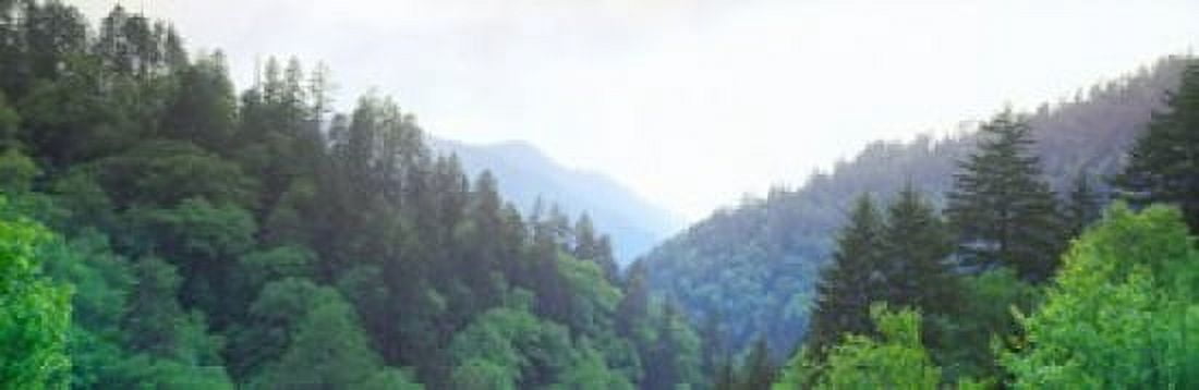 Trees with a mountain range in the background Great Smoky Mountains National Park Tennessee USA Canvas Art - Panoramic Images (36 x 12)