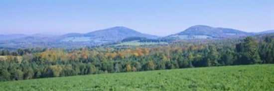 Trees with a mountain range in the background Northeast Kingdom Vermont USA Canvas Art - Panoramic Images (36 x 12)