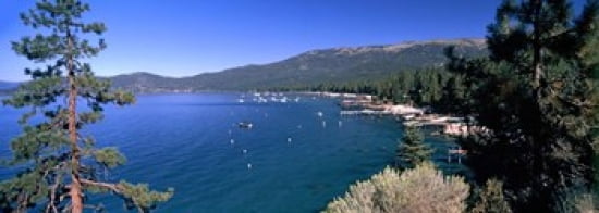 Trees with lake in the background Lake Tahoe California USA Canvas Art - Panoramic Images (36 x 13)