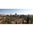 thumbnail image 1 of Trees with mosque in the background Dome Of the Rock Temple Mount Jerusalem Israel Poster Print by - 36 x 12, 1 of 1