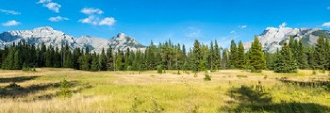 Trees with mountain range in the background Banff National Park Alberta Canada Canvas Art - Panoramic Images (18 x 7)