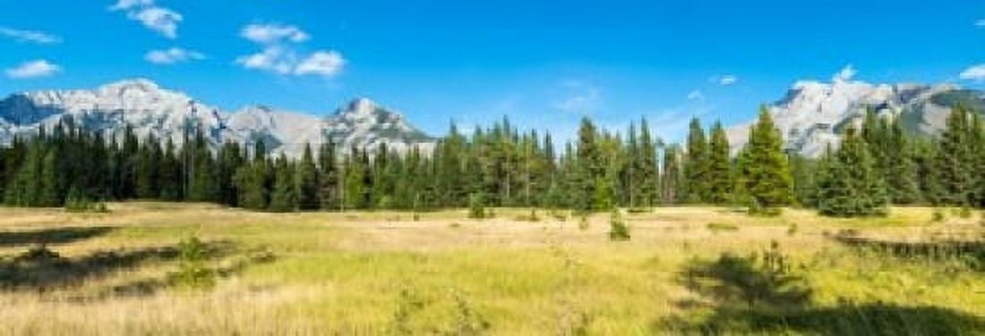 Trees with mountain range in the background Banff National Park Alberta Canada Canvas Art - Panoramic Images (36 x 13)