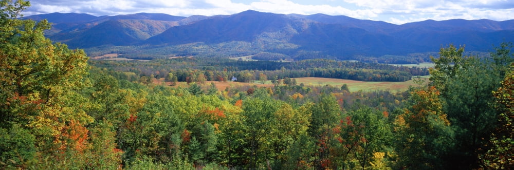 Trees with mountain range in the background Cades Cove Great Smoky Mountains National Park Tennessee USA Canvas Art - Panoramic Images (27 x 9)
