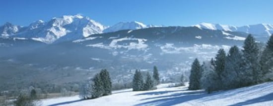 Trees with snow covered mountains in winter Combloux Mont Blanc Massif Haute-Savoie Rhone-Alpes France Canvas Art - Panoramic Images (30 x 12)