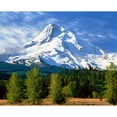 thumbnail image 1 of Trees with snowcapped mountain range in the background  Mt Hood  Upper Hood River Valley  Hood River County  Oregon  USA, 1 of 2