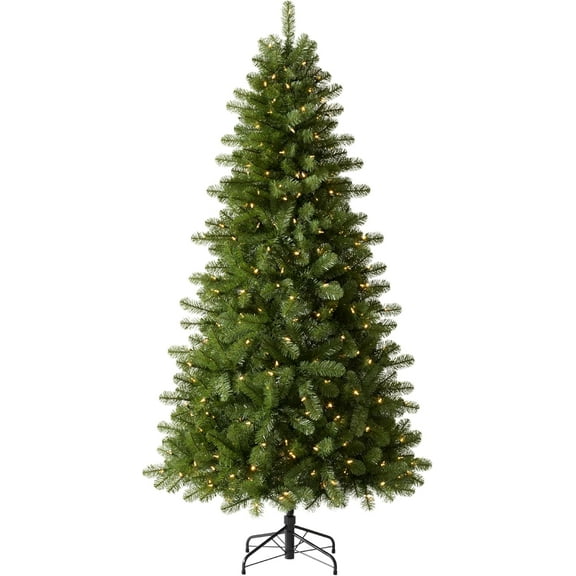 Grand Evergreen Fir |6| LEDC