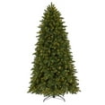 thumbnail image 1 of Deluxe Heritage Fir |7| LEDC, 1 of 6
